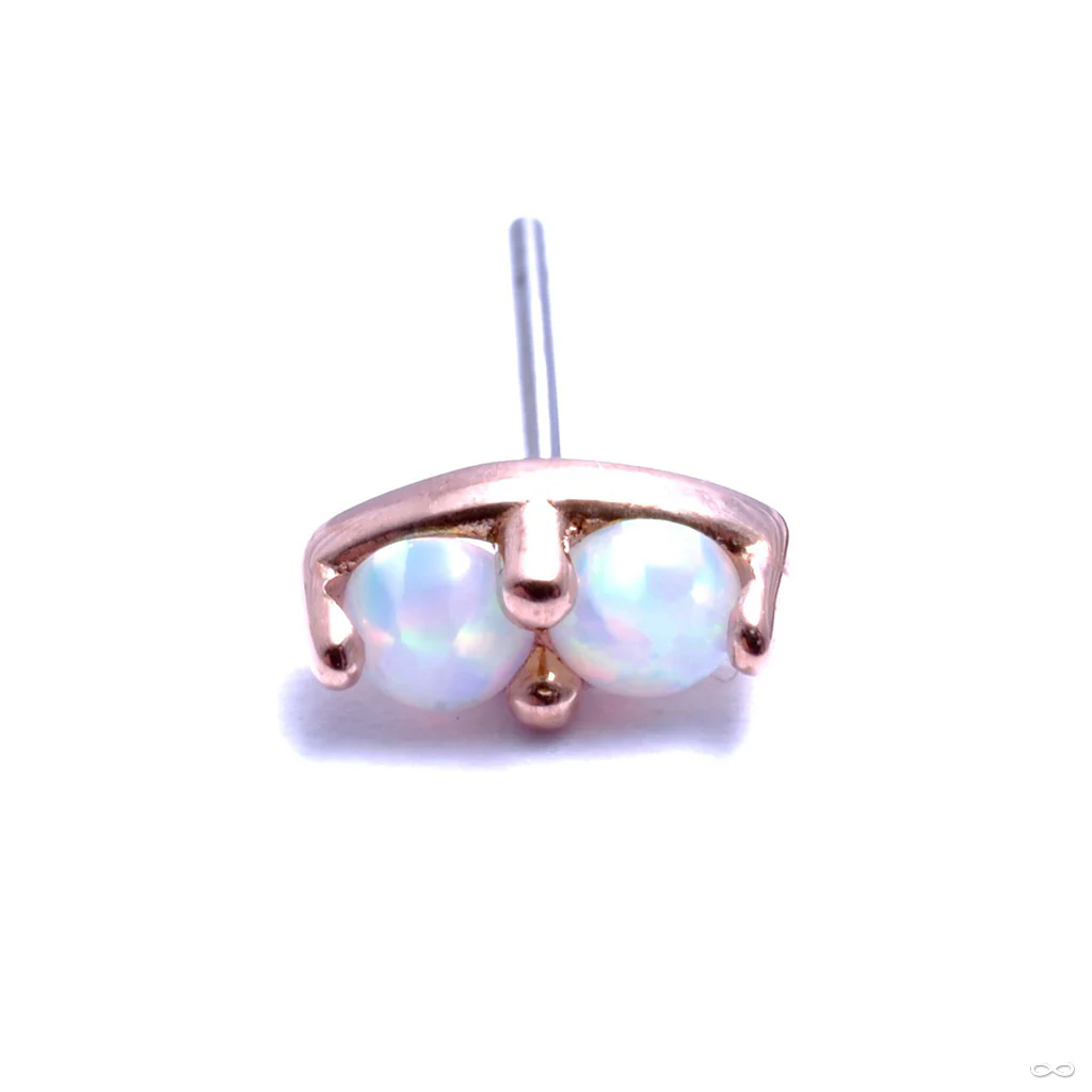 2 Stone Marquise Press-fit End in Gold from LeRoi - Image 6