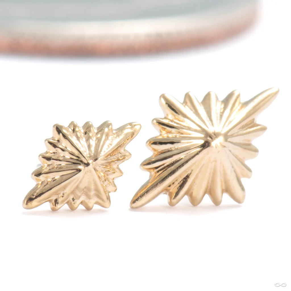 3am to 4am Press-fit End in Gold from Regalia