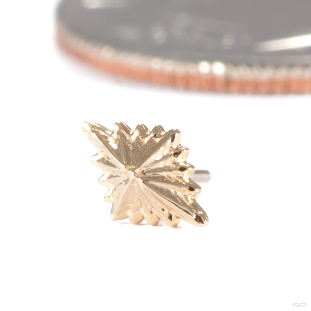 3am to 4am Press-fit End in Gold from Regalia - Image 2