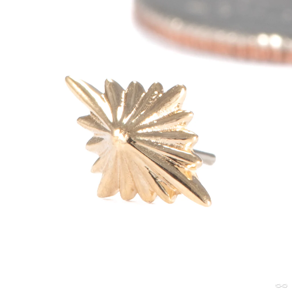 3am to 4am Press-fit End in Gold from Regalia - Image 3