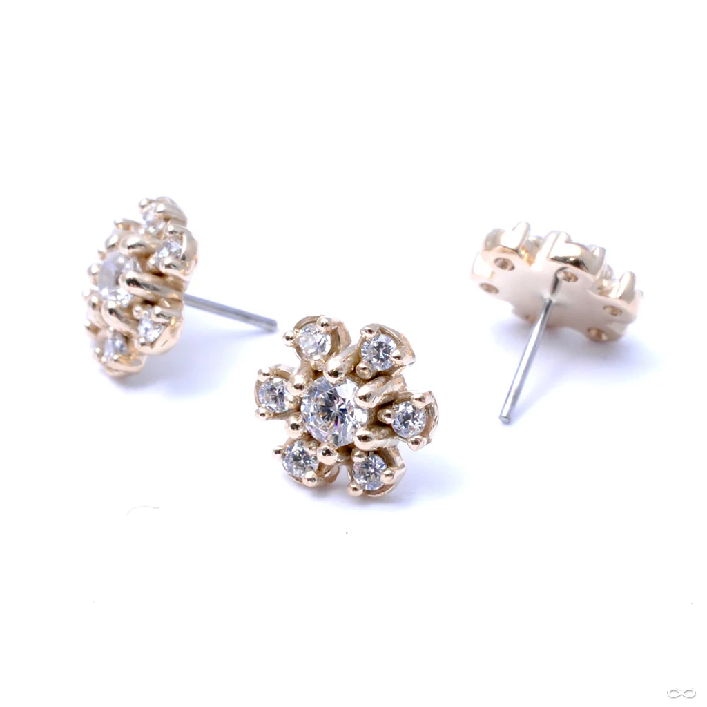 7 Stone Daisy Press-fit End in Gold from LeRoi