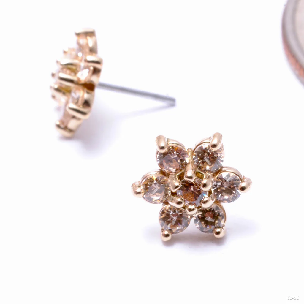 7 Stone Flower Press-fit End in Gold from LeRoi - Image 30