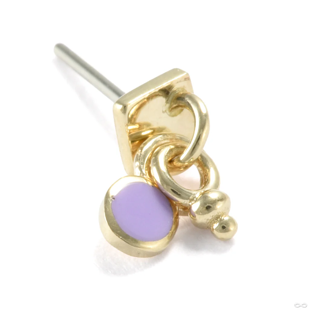 A Few Things Square Press-fit End in Gold from Pupil Hall - Image 5
