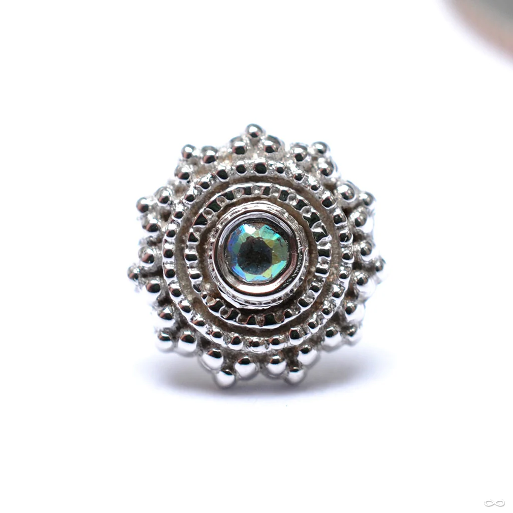Afghan Press-fit End in Gold from BVLA - Image 10