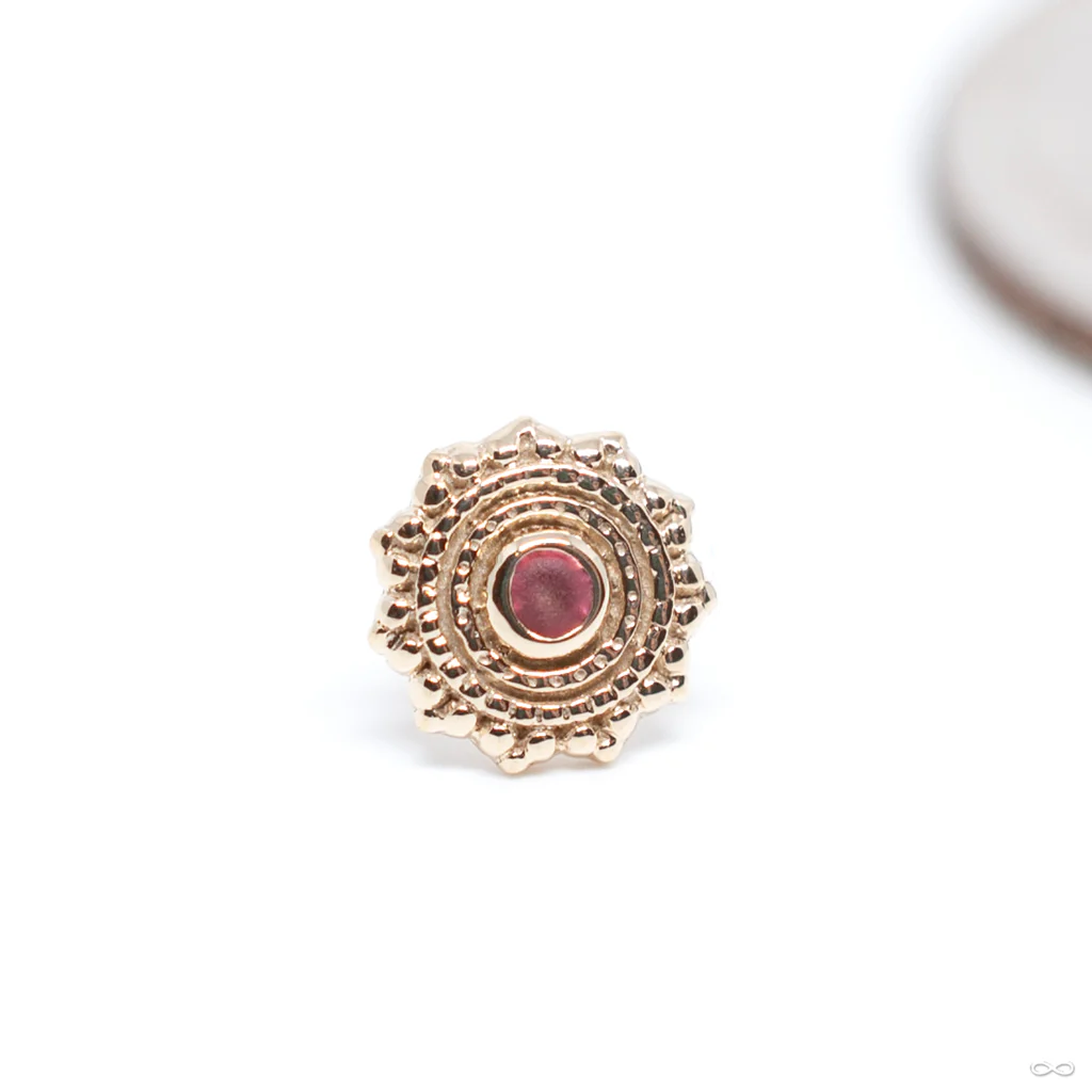 Afghan Press-fit End in Gold from BVLA - Image 20