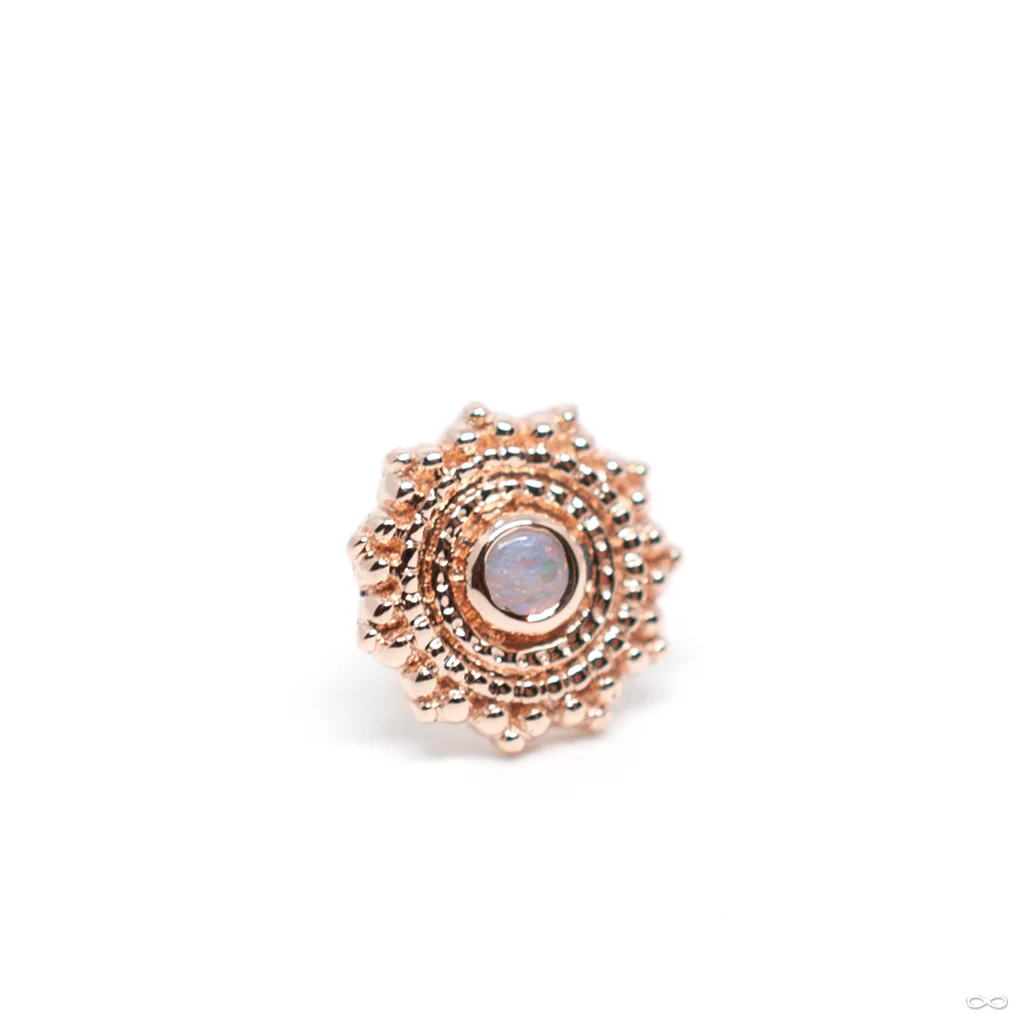 Afghan Press-fit End in Gold from BVLA - Image 7