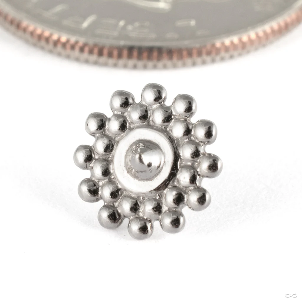 Afghan Press-fit End in Gold from Tawapa