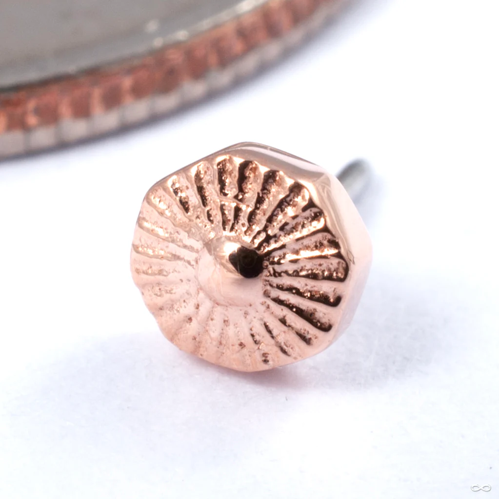 Alpha 08 Press-fit End in Gold from Tether Jewelry - Image 2