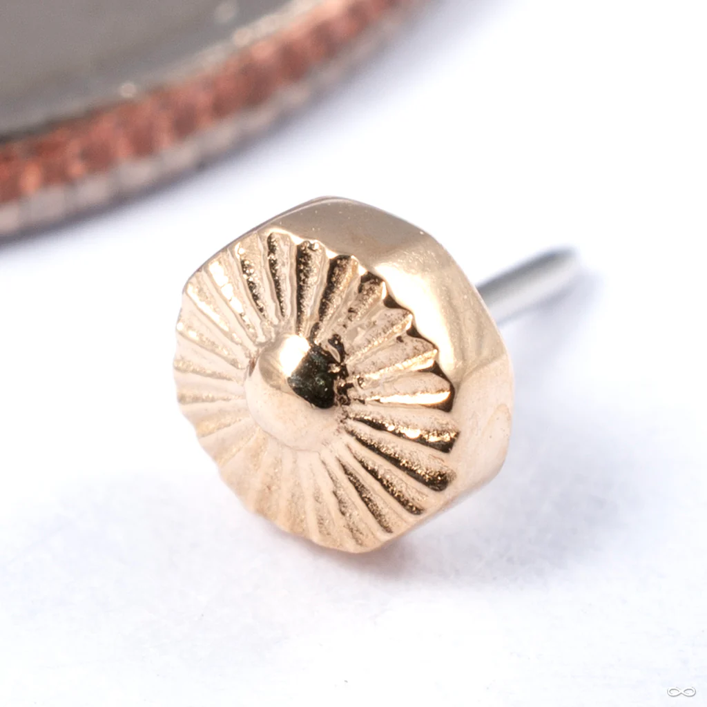 Alpha 08 Press-fit End in Gold from Tether Jewelry - Image 4