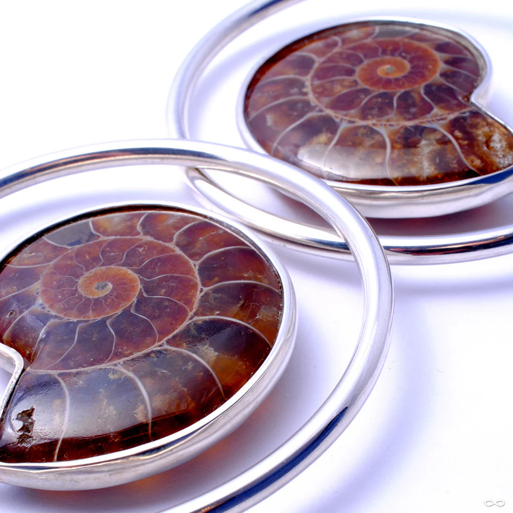 Ammonite Hoops from Quetzalli - Image 3