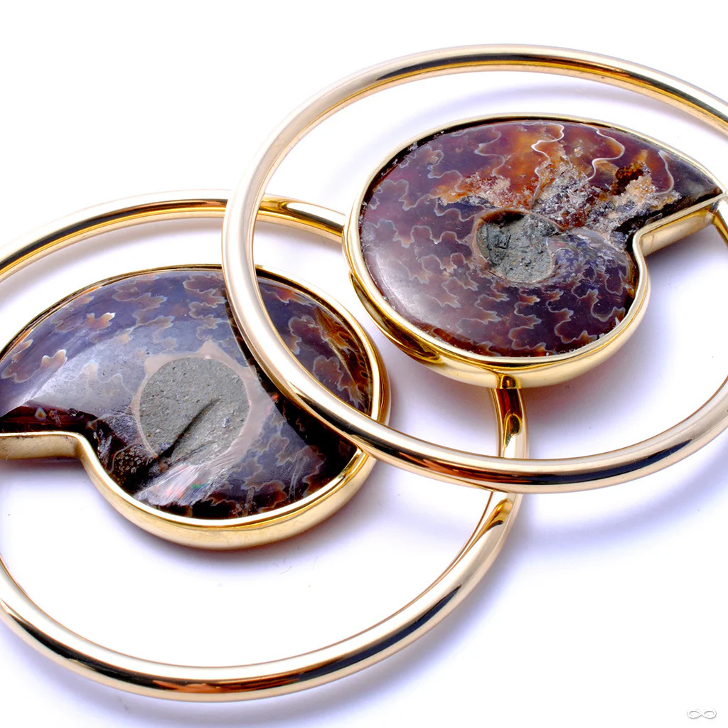 Ammonite Hoops from Quetzalli - Image 5