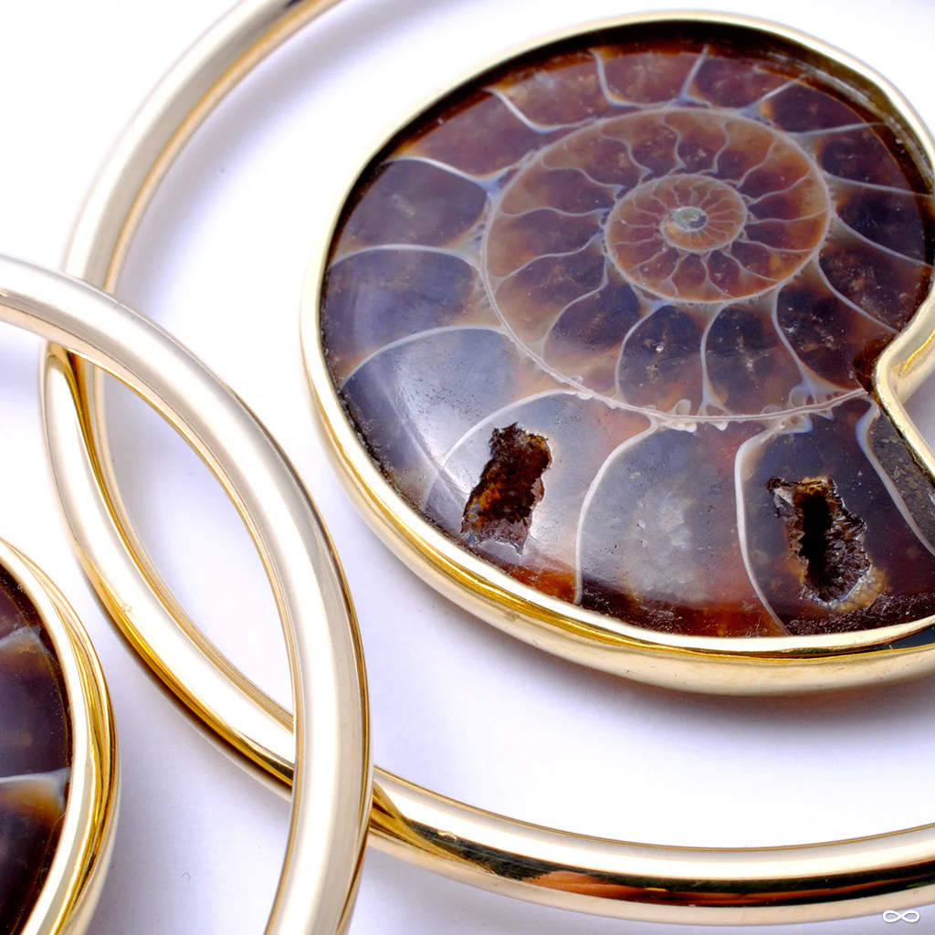 Ammonite Hoops from Quetzalli - Image 6