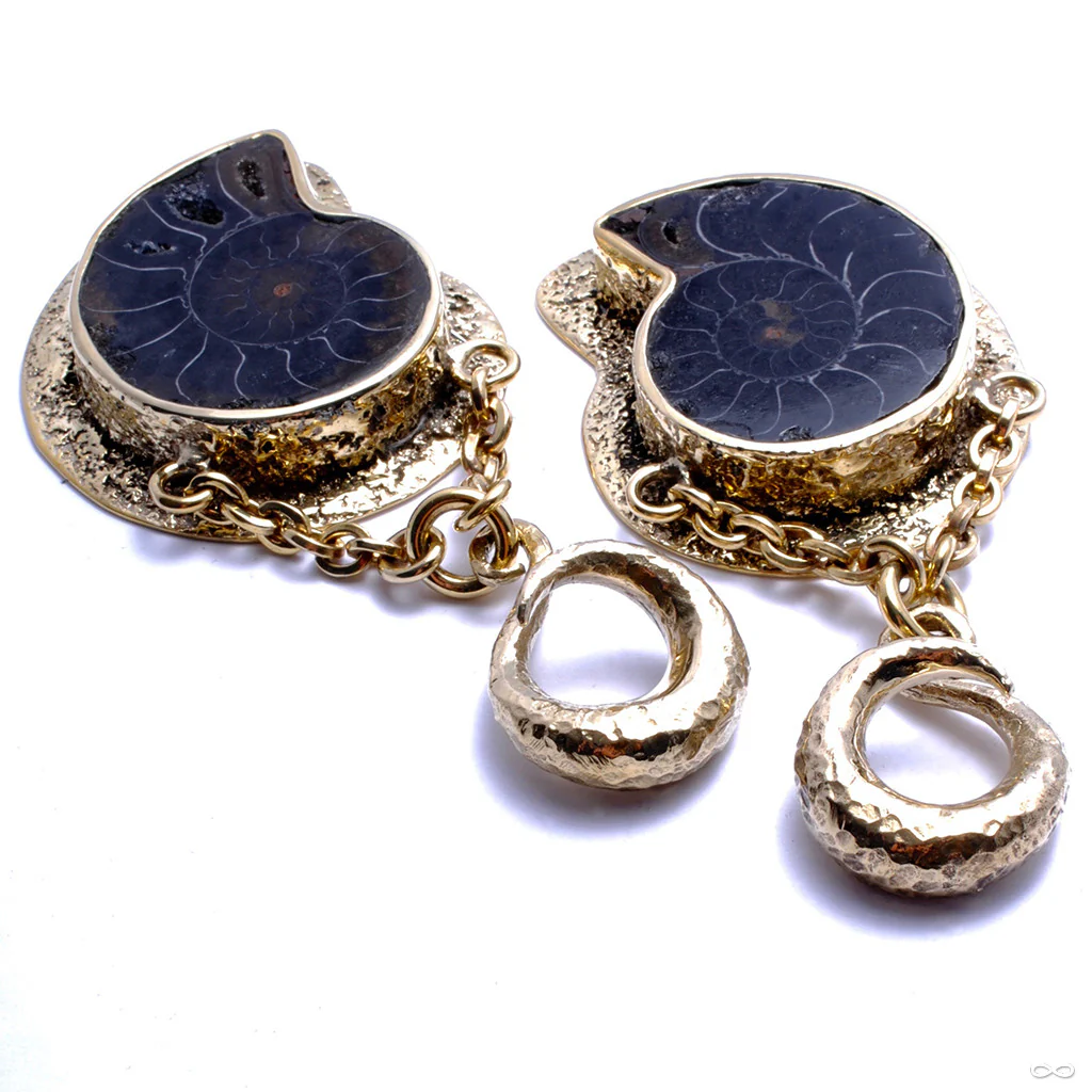 Ammonites in Textured Brass from Diablo Organics - Image 2