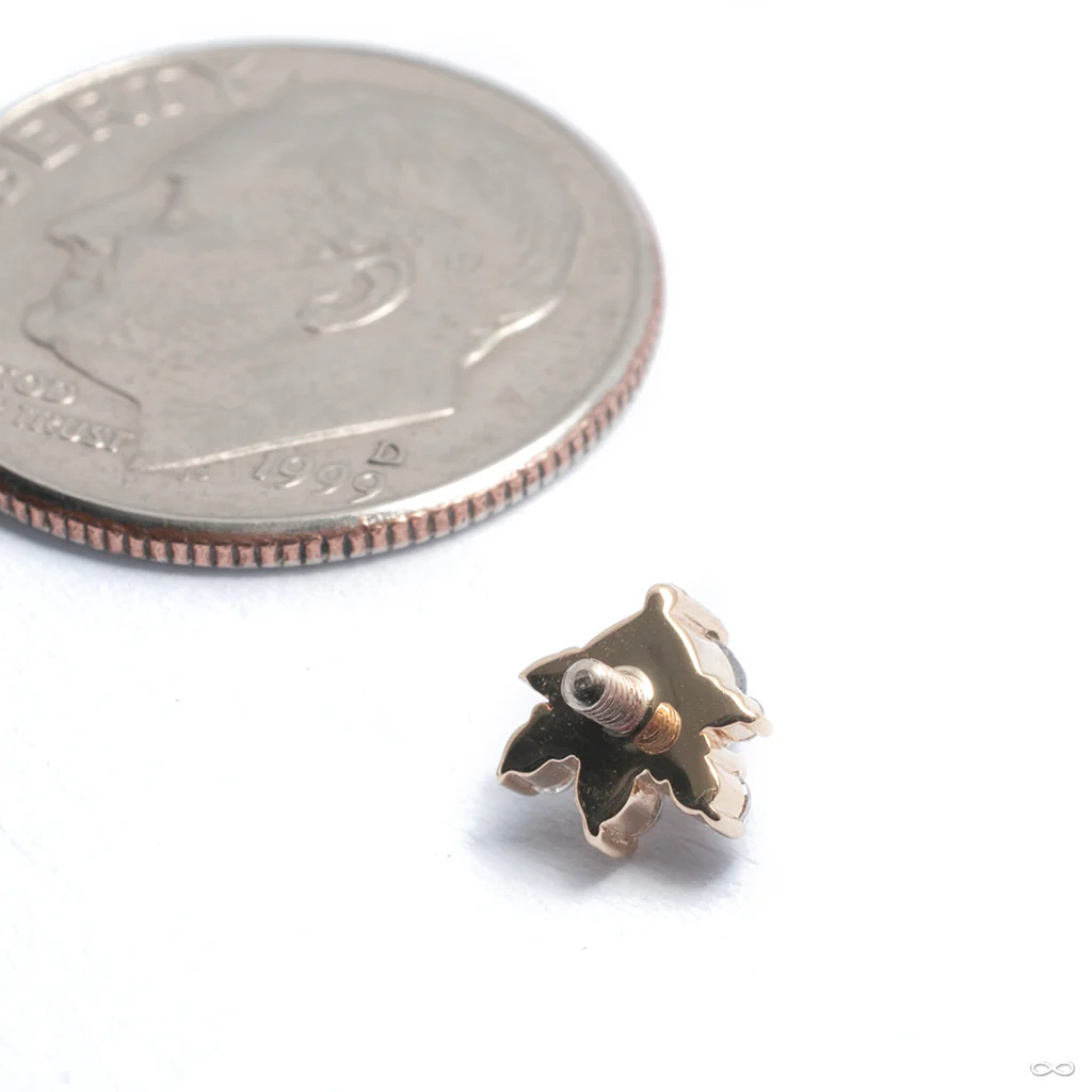 Anaya Threaded End in Gold from BVLA - Image 3