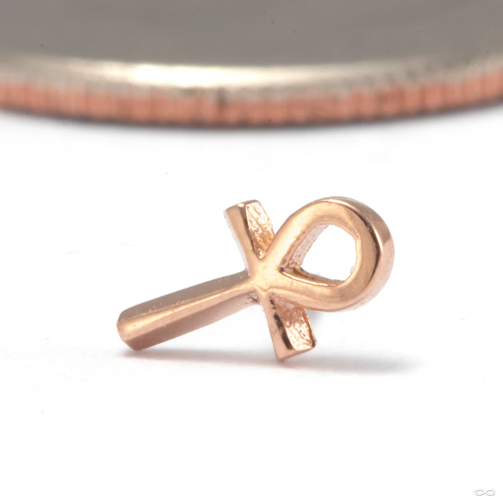 Ankh Press-fit End in Gold from Tawapa - Image 2