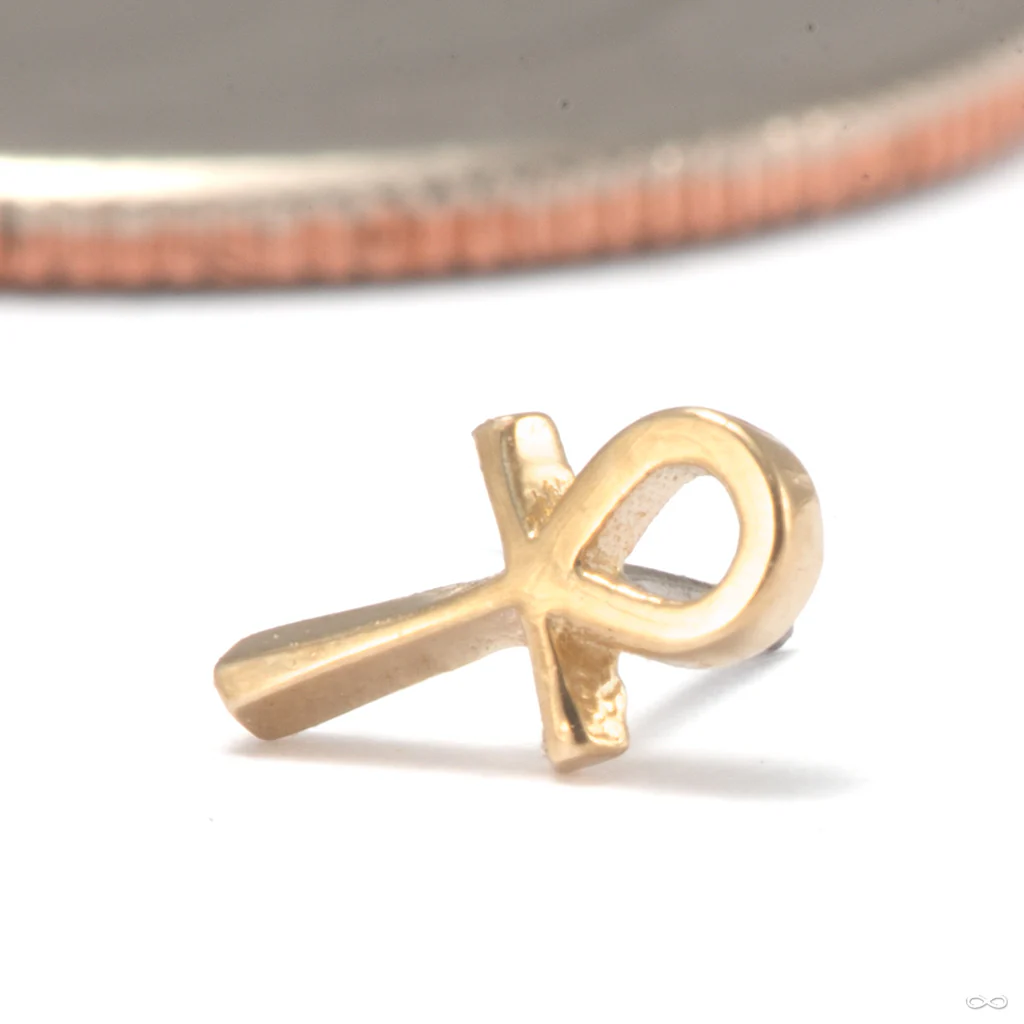 Ankh Press-fit End in Gold from Tawapa - Image 4