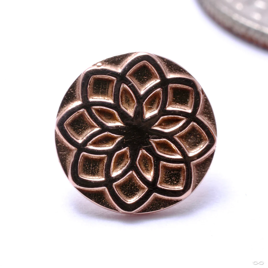 Aster 00 Press-fit End in Gold from Tether Jewelry - Image 3