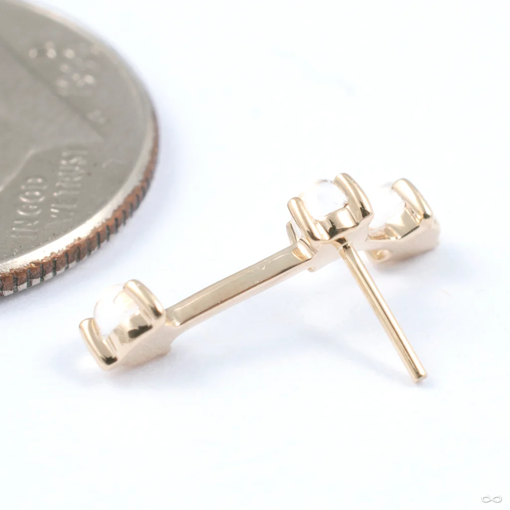 Astera 3 Press-fit End in Gold from Modern Mood - Image 8