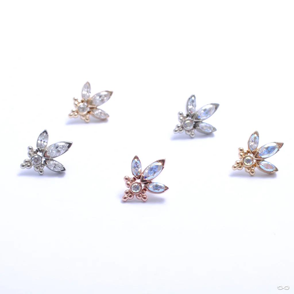 Audrey Press-fit End in Gold from LeRoi