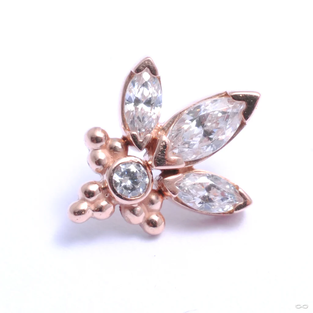 Audrey Press-fit End in Gold from LeRoi - Image 3