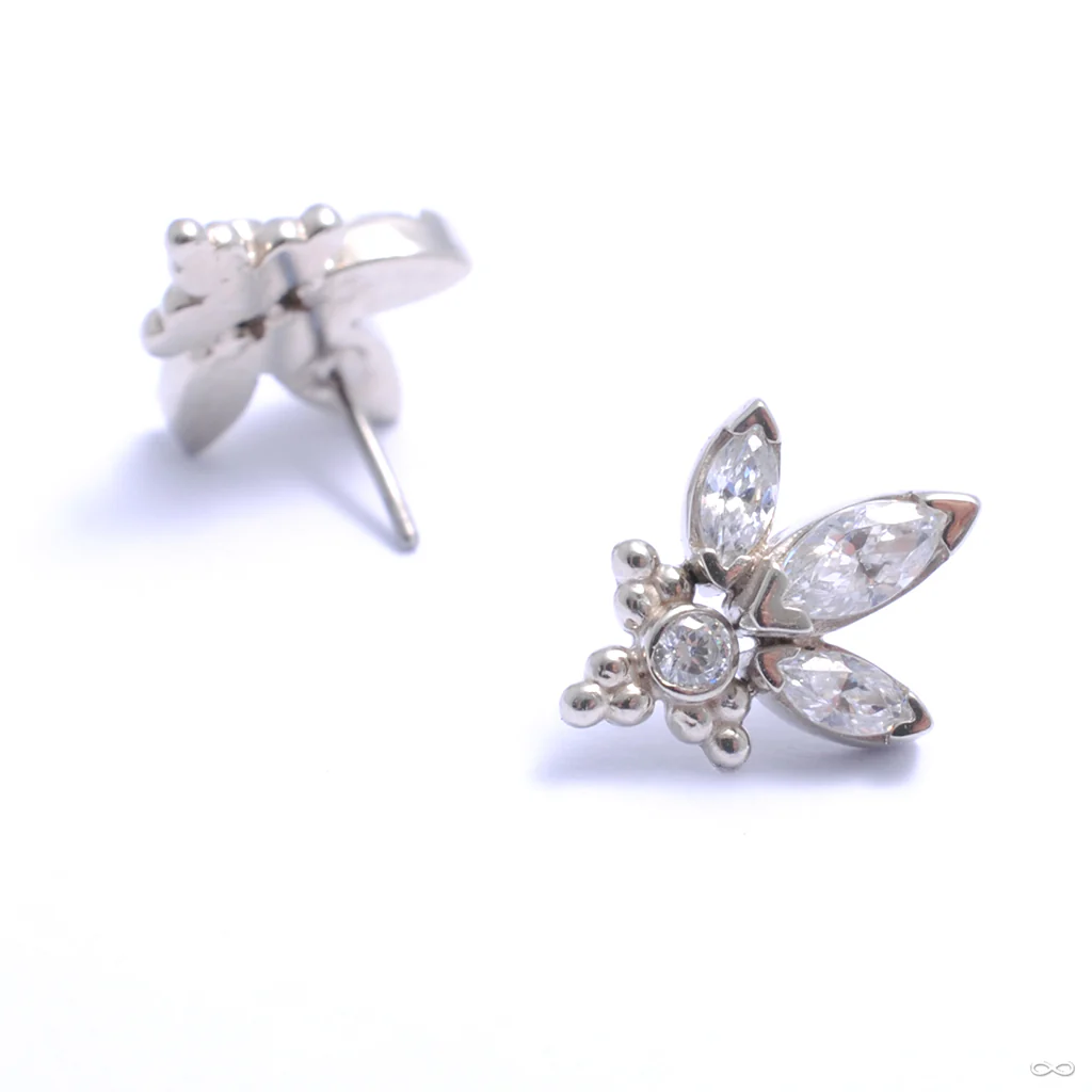 Audrey Press-fit End in Gold from LeRoi - Image 5