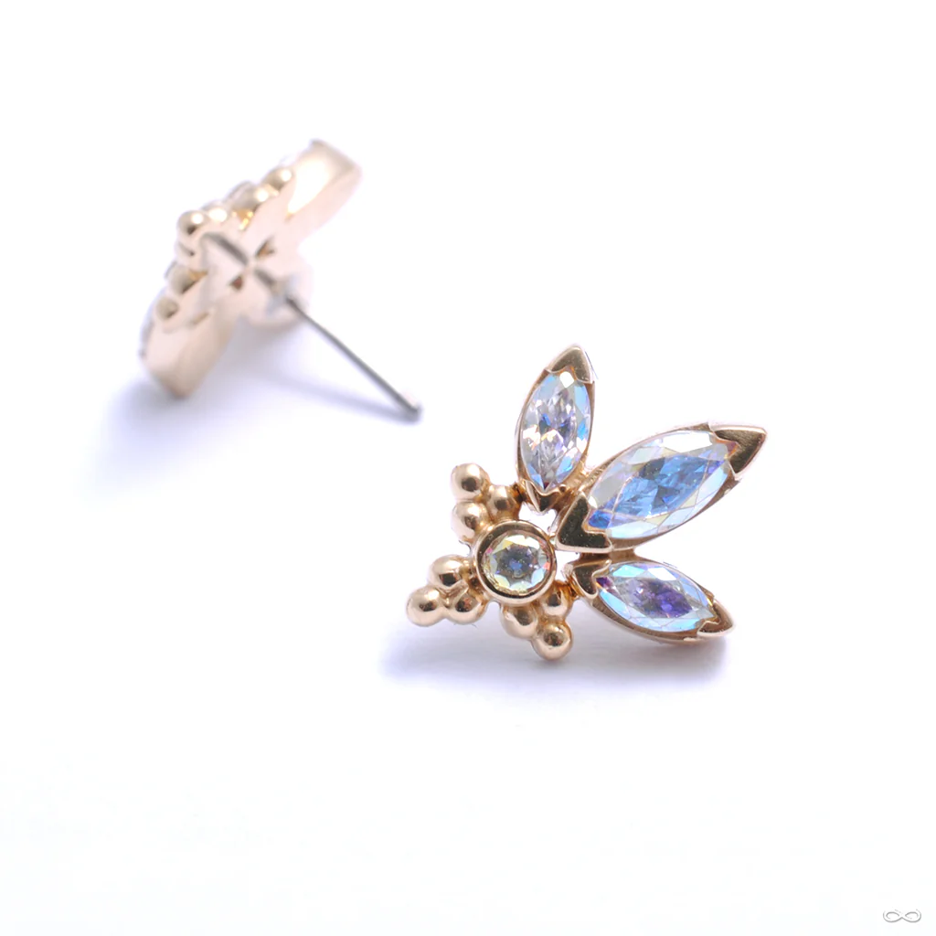 Audrey Press-fit End in Gold from LeRoi - Image 6