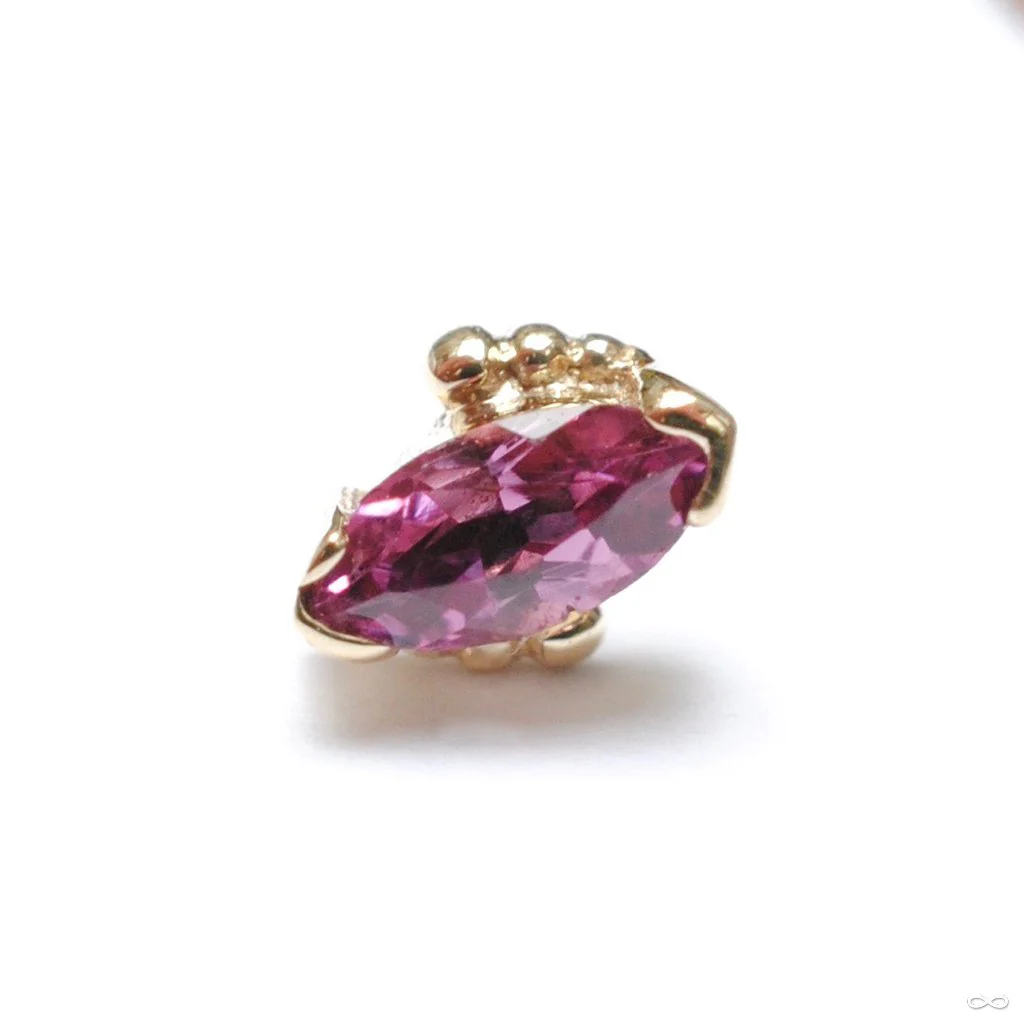 Beaded Marquise Press-fit End in Gold from BVLA - Image 2
