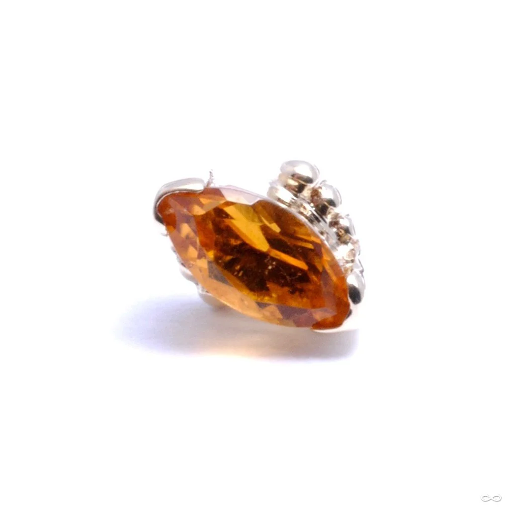 Beaded Marquise Press-fit End in Gold from BVLA - Image 6