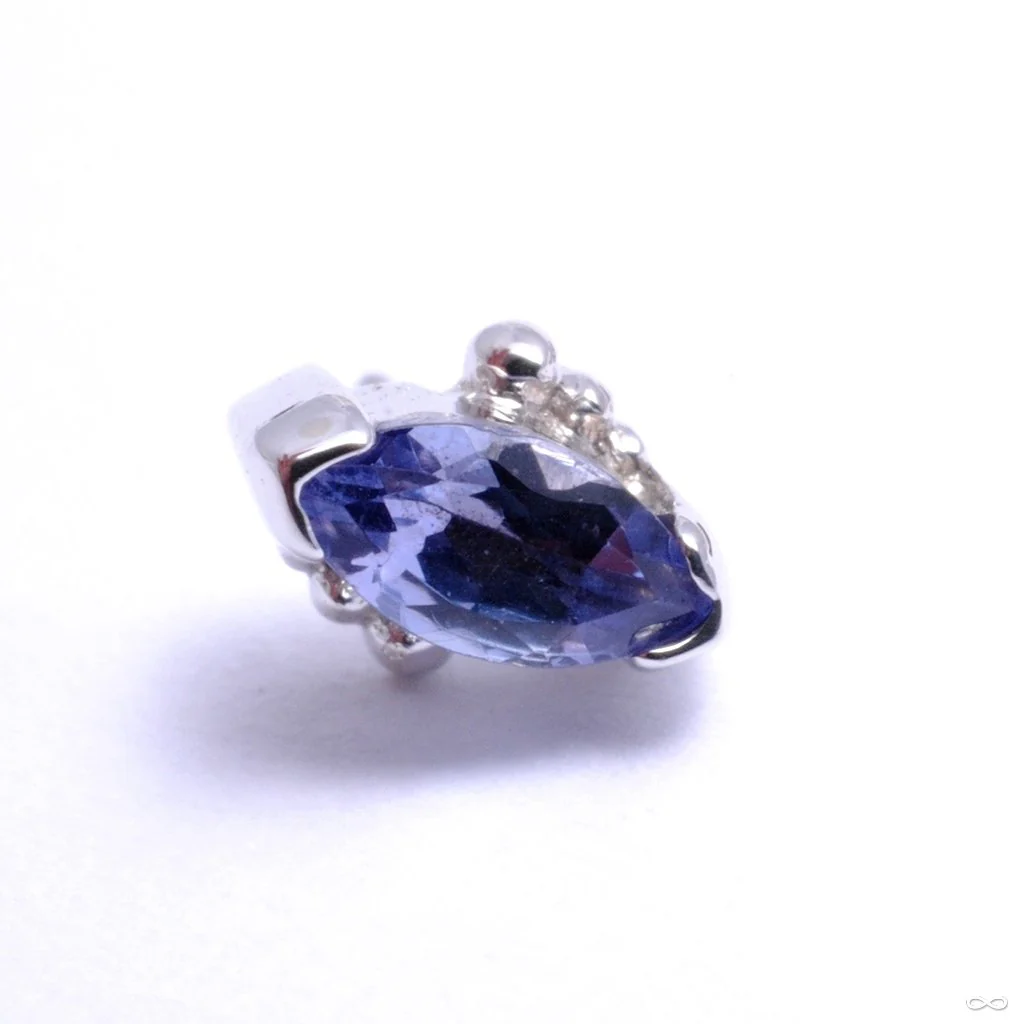 Beaded Marquise Press-fit End in Gold from BVLA - Image 7