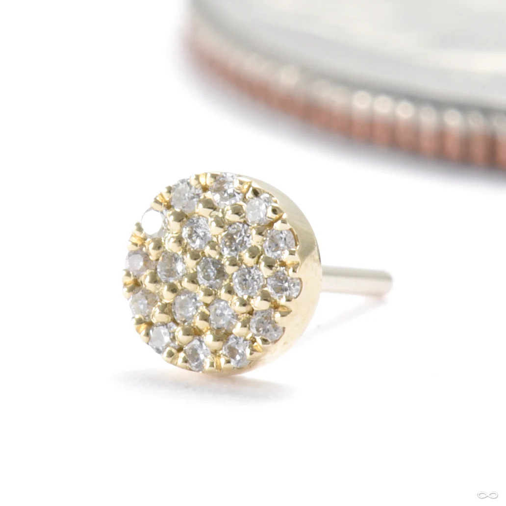 Blair Press-fit End in Gold from Modern Mood