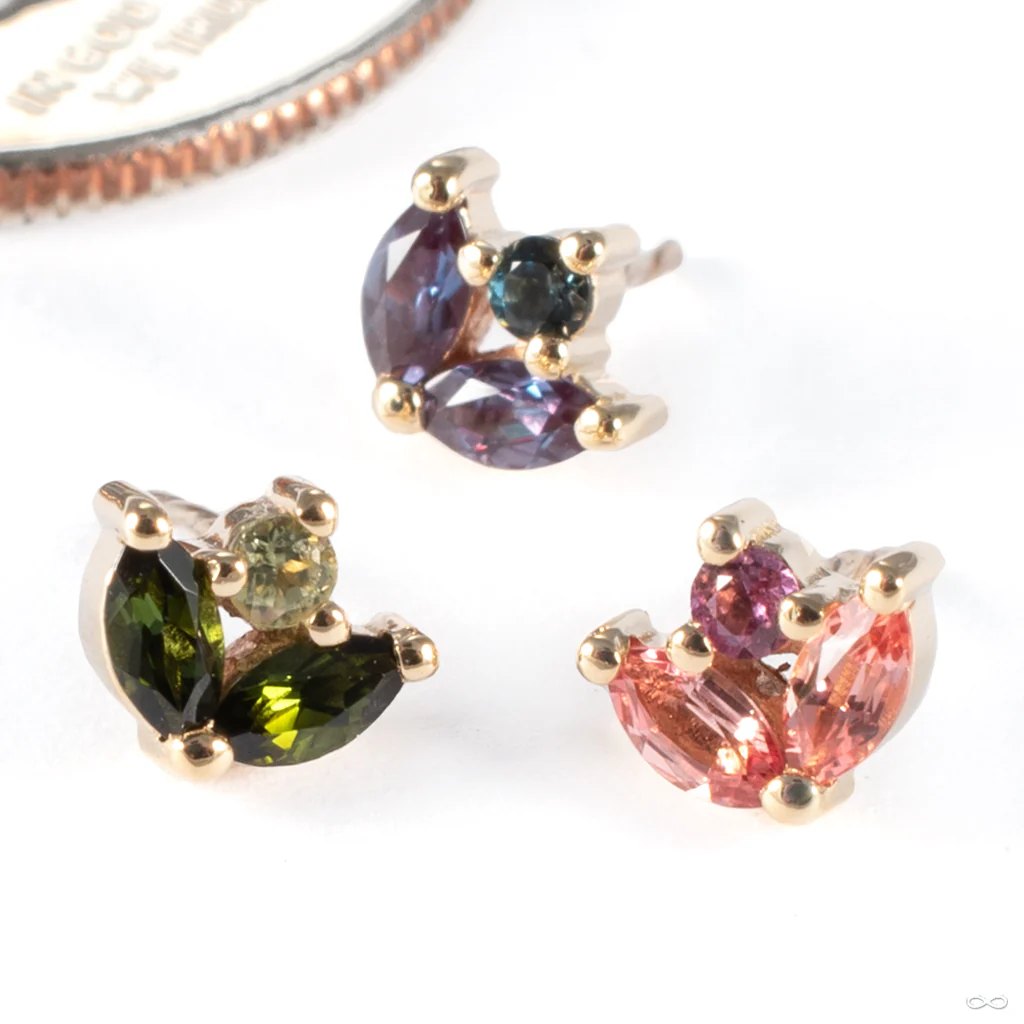Bloom Press-fit End in Gold from BVLA