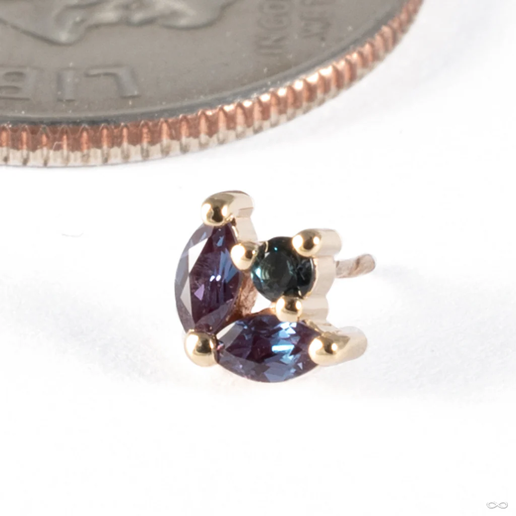 Bloom Press-fit End in Gold from BVLA - Image 2