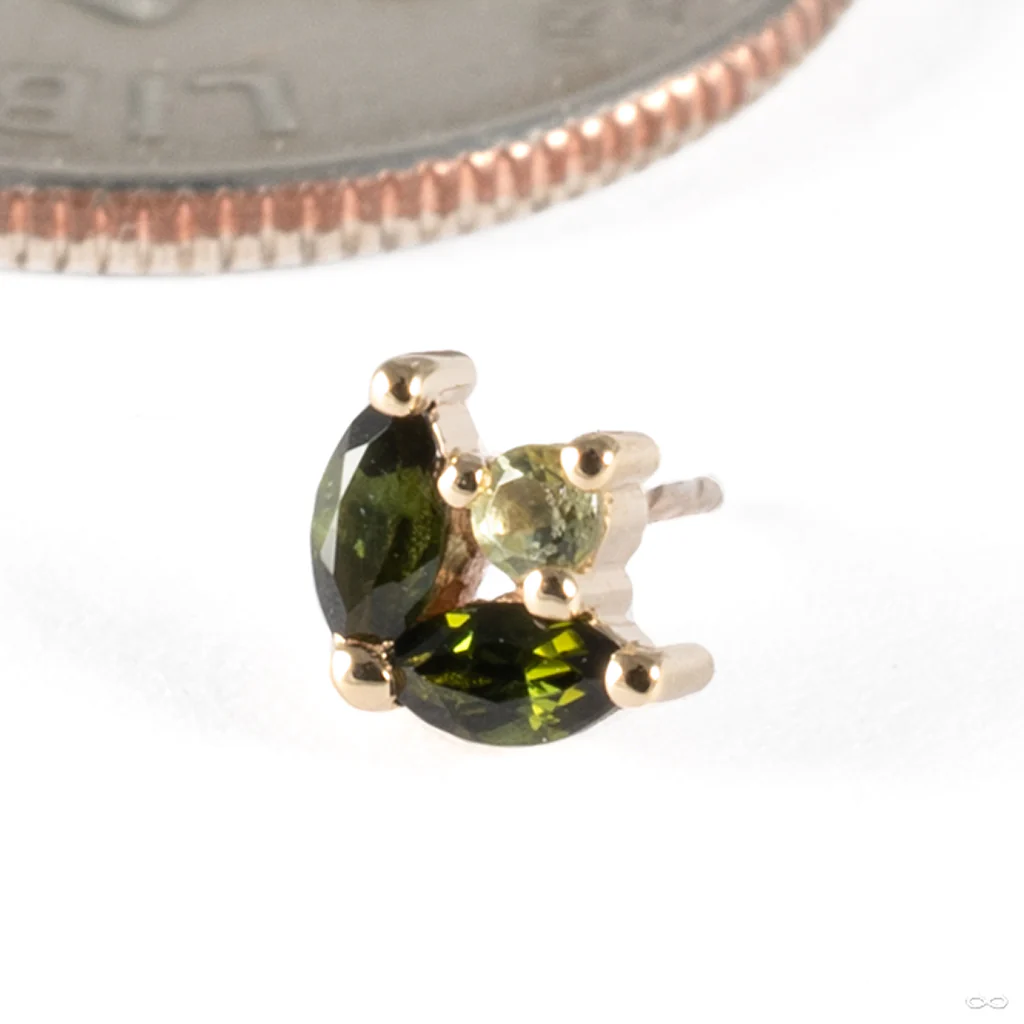 Bloom Press-fit End in Gold from BVLA - Image 3