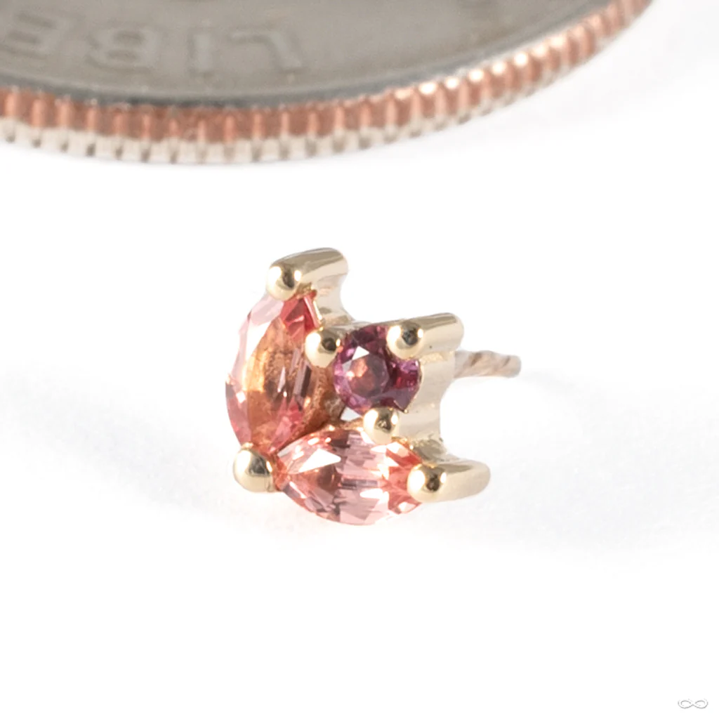 Bloom Press-fit End in Gold from BVLA - Image 4