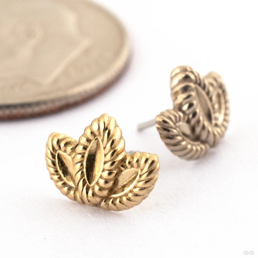 Bloom Press-fit End in Gold from Oracle