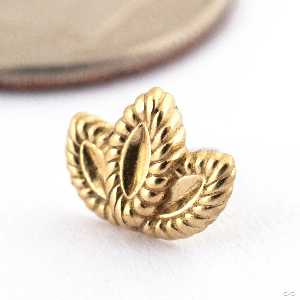 Bloom Press-fit End in Gold from Oracle - Image 3