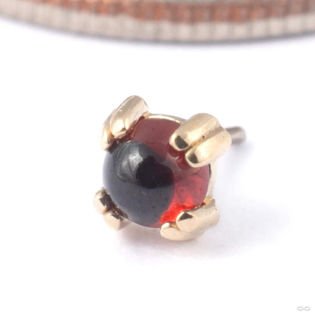 Cab Prong Press-fit End in Gold from BVLA - Image 10
