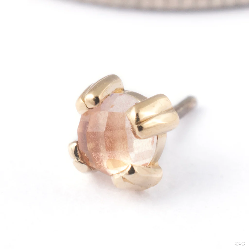 Cab Prong Press-fit End in Gold from BVLA - Image 12