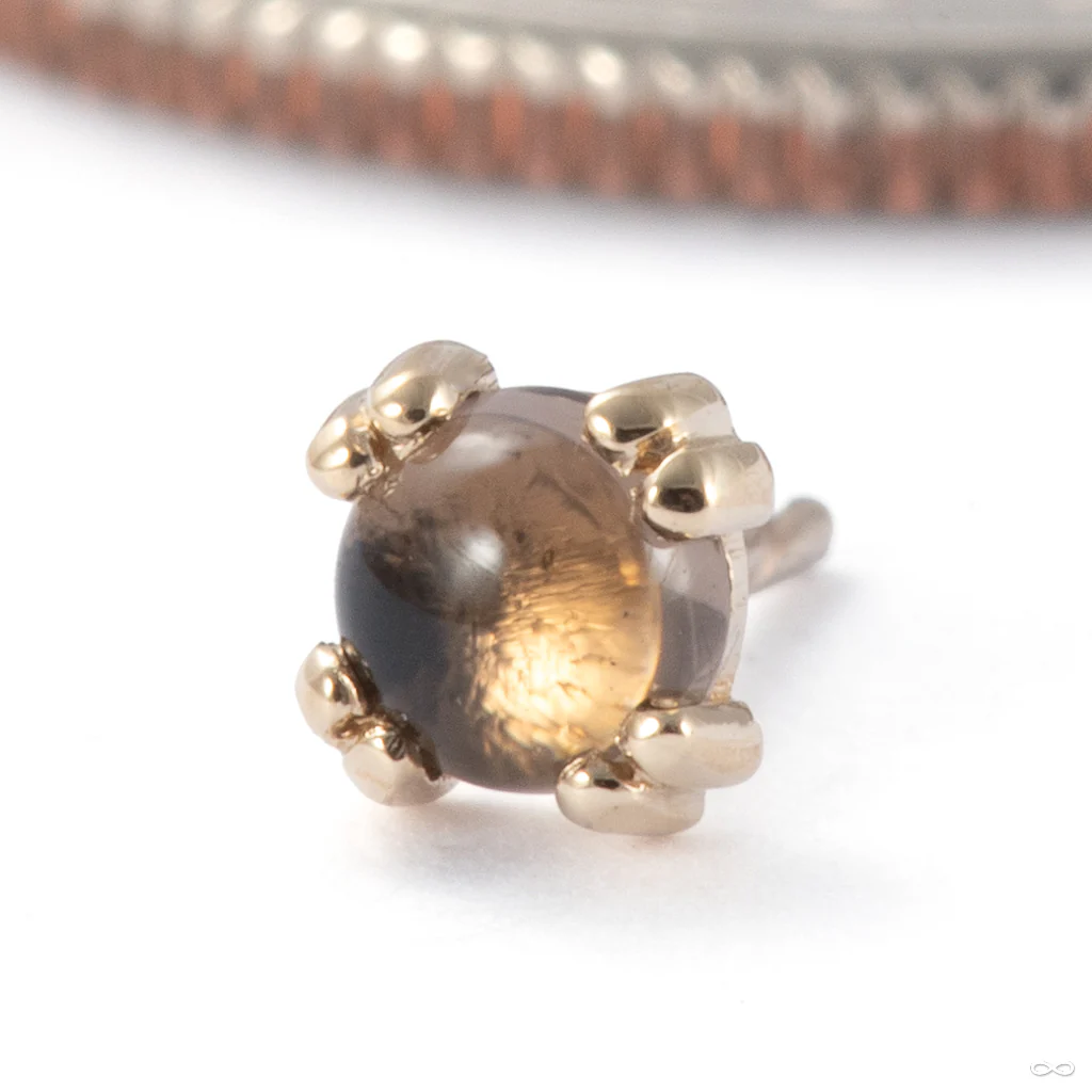 Cab Prong Press-fit End in Gold from BVLA - Image 14