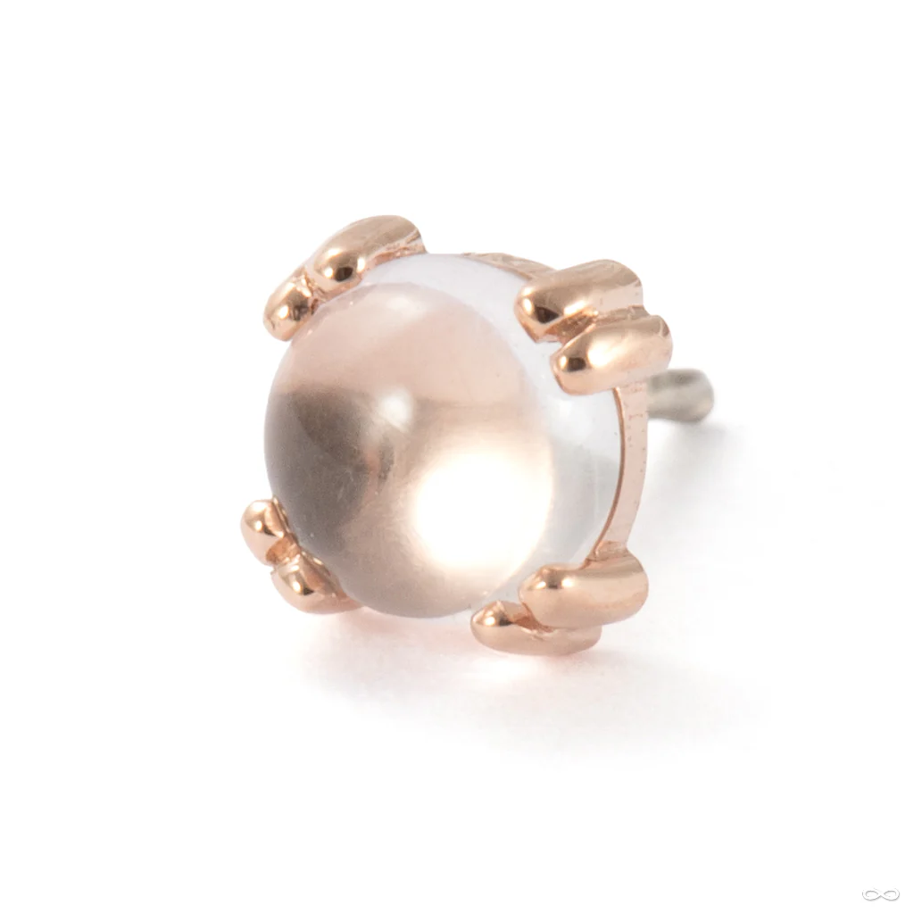 Cab Prong Press-fit End in Gold from BVLA - Image 3