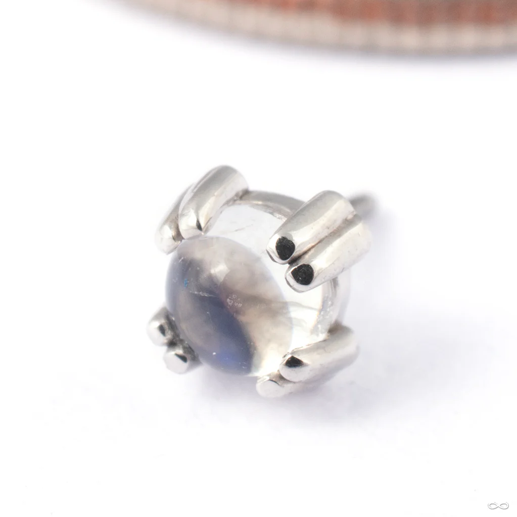 Cab Prong Press-fit End in Gold from BVLA - Image 5