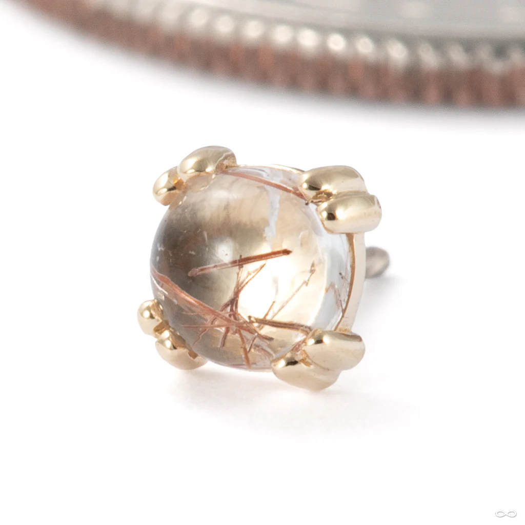 Cab Prong Press-fit End in Gold from BVLA - Image 9