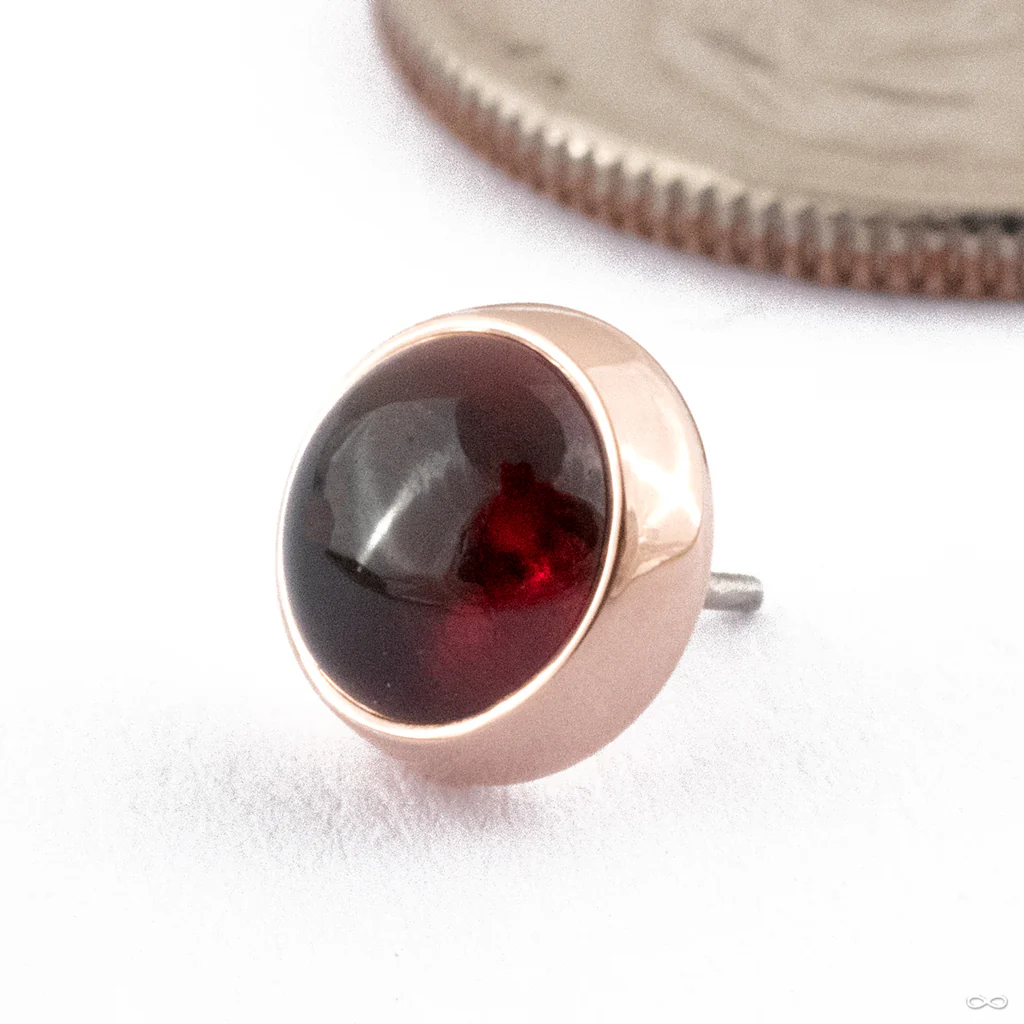 Cabochon Bezel Press-fit End in Gold from Dusk Body Jewelry