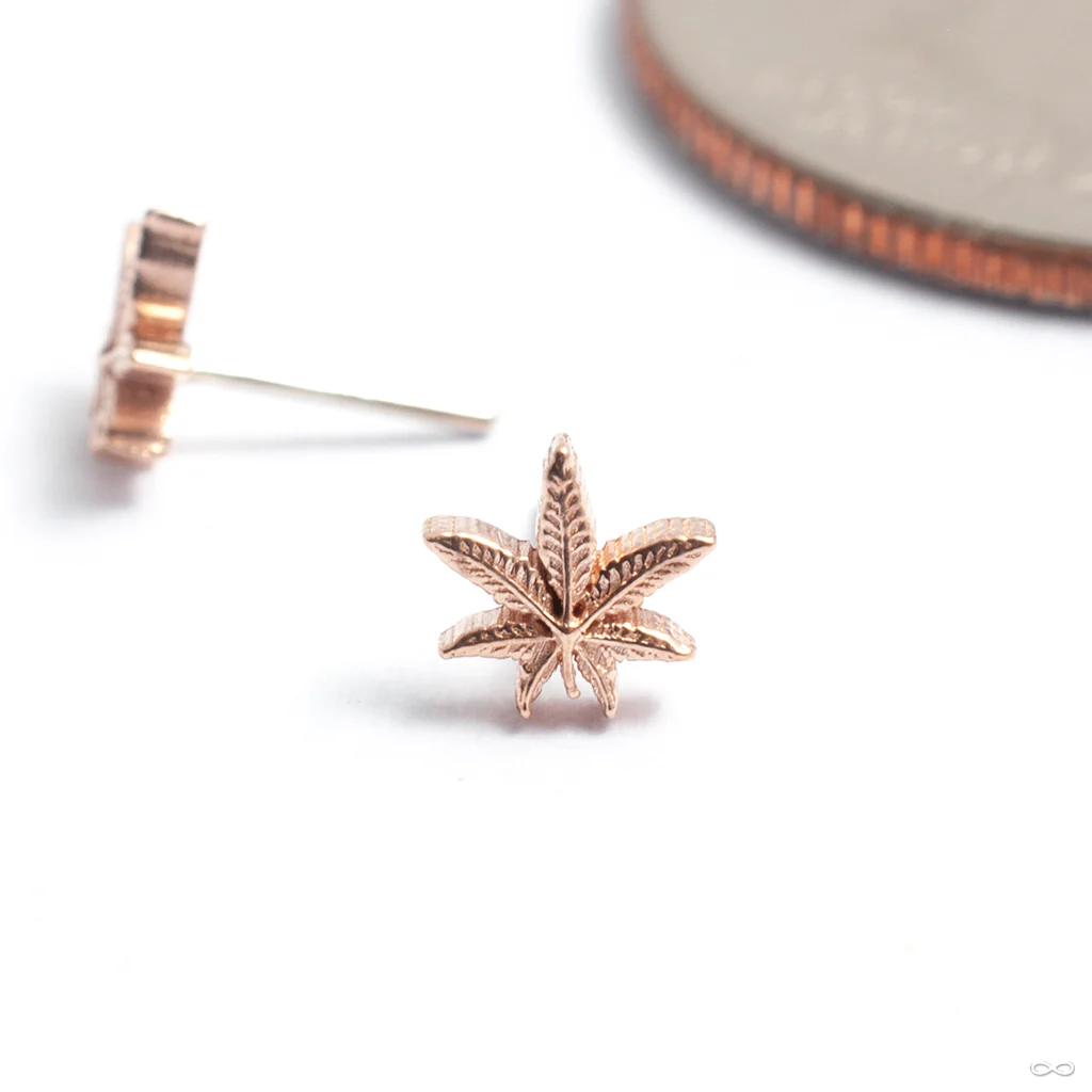 Cannabis Leaf Press-fit End in Gold from Kiwi Diamond - Image 2