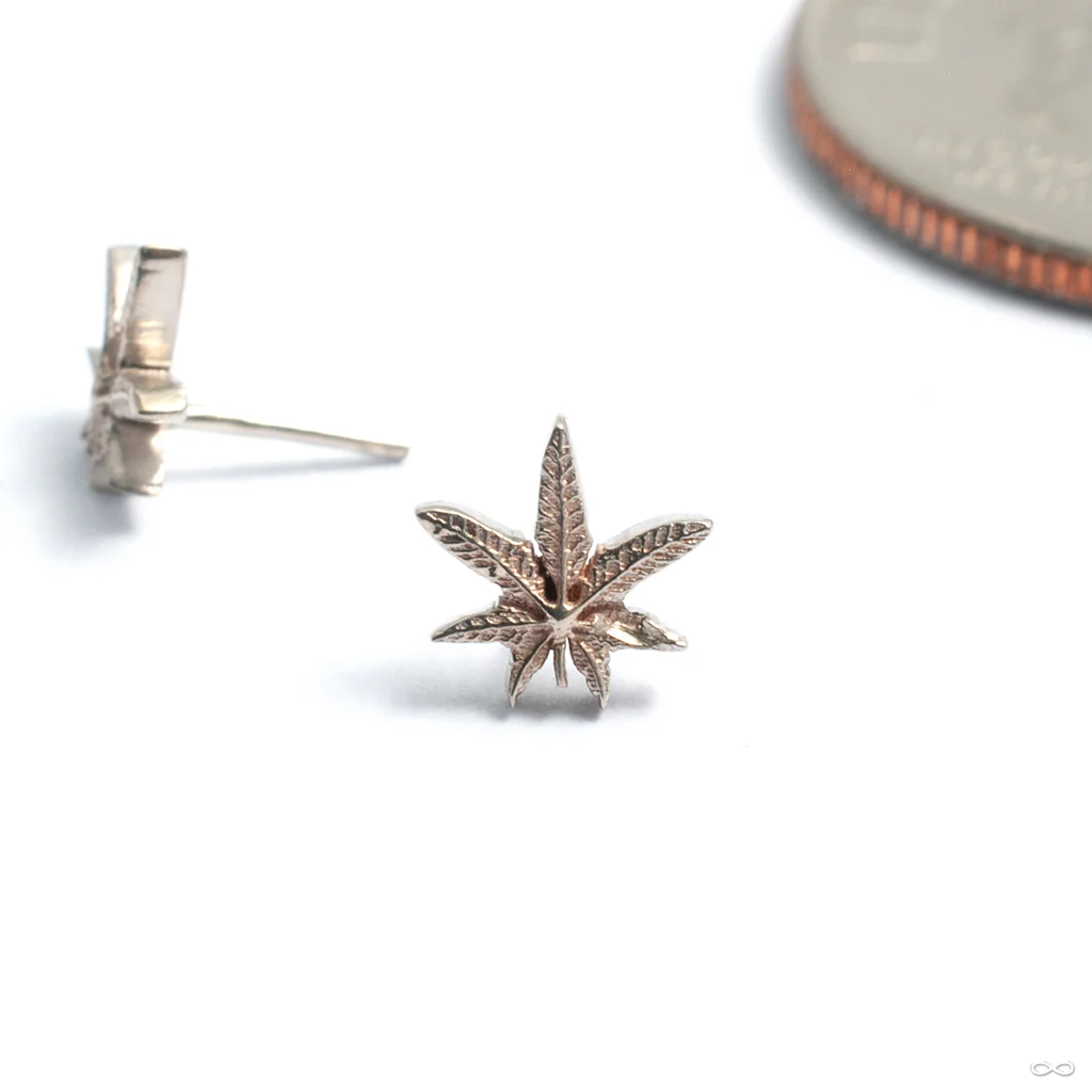 Cannabis Leaf Press-fit End in Gold from Kiwi Diamond - Image 3