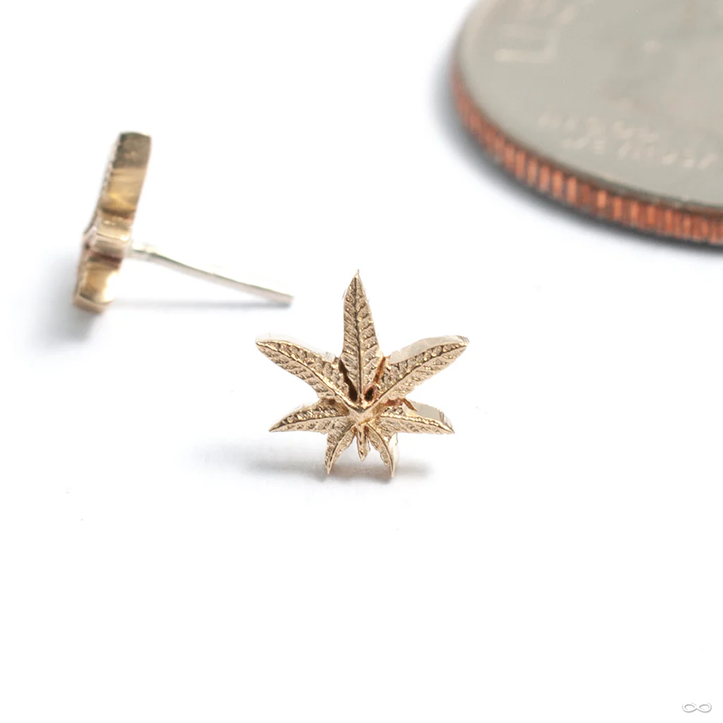 Cannabis Leaf Press-fit End in Gold from Kiwi Diamond - Image 4