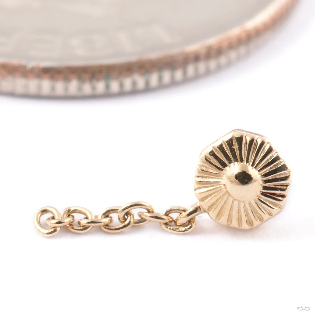 Chained Alpha 08 Press-fit End in Gold from Tether Jewelry - Image 3