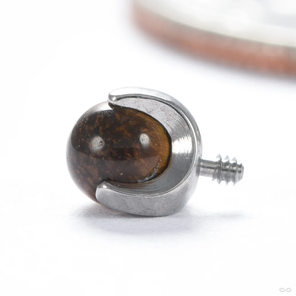 Claw-set Stone Threaded End in Titanium from People’s Jewelry - Image 19