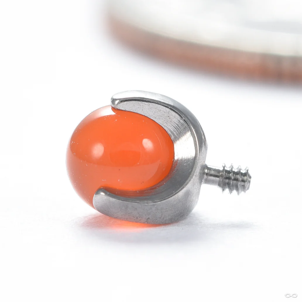 Claw-set Stone Threaded End in Titanium from People’s Jewelry - Image 6