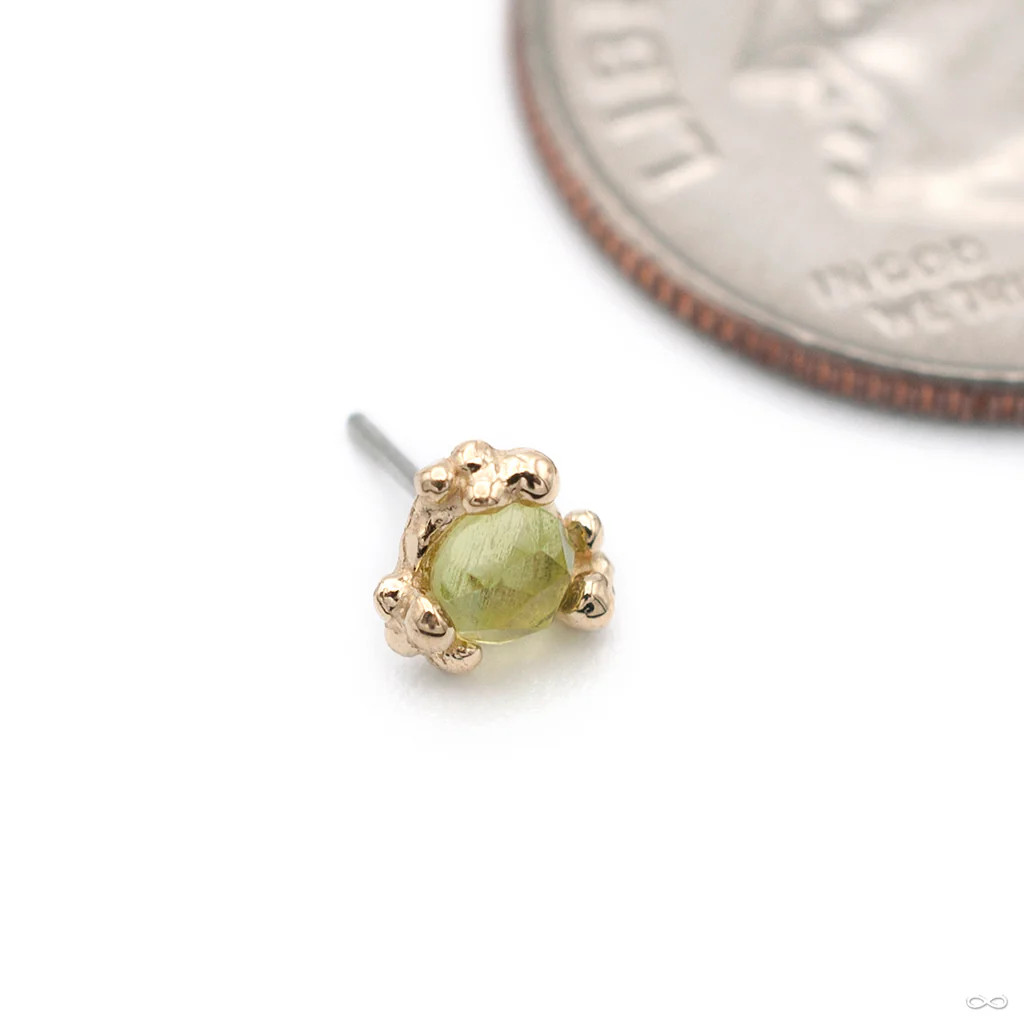 Cleo Beaded Press-fit End in Gold from Pupil Hall - Image 8